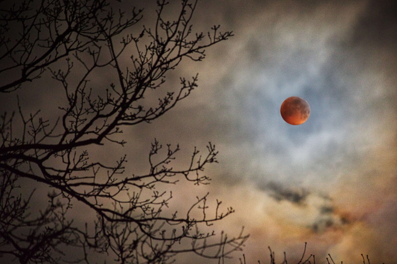 Blood Moon eclipse Q JK5D0244.jpg