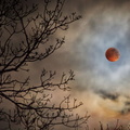 Blood Moon eclipse Q JK5D0244