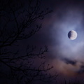 Blood moon quarter eclipse JK5D0244