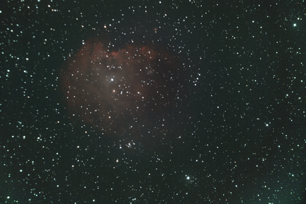 MonkeyHead13x240s08flat